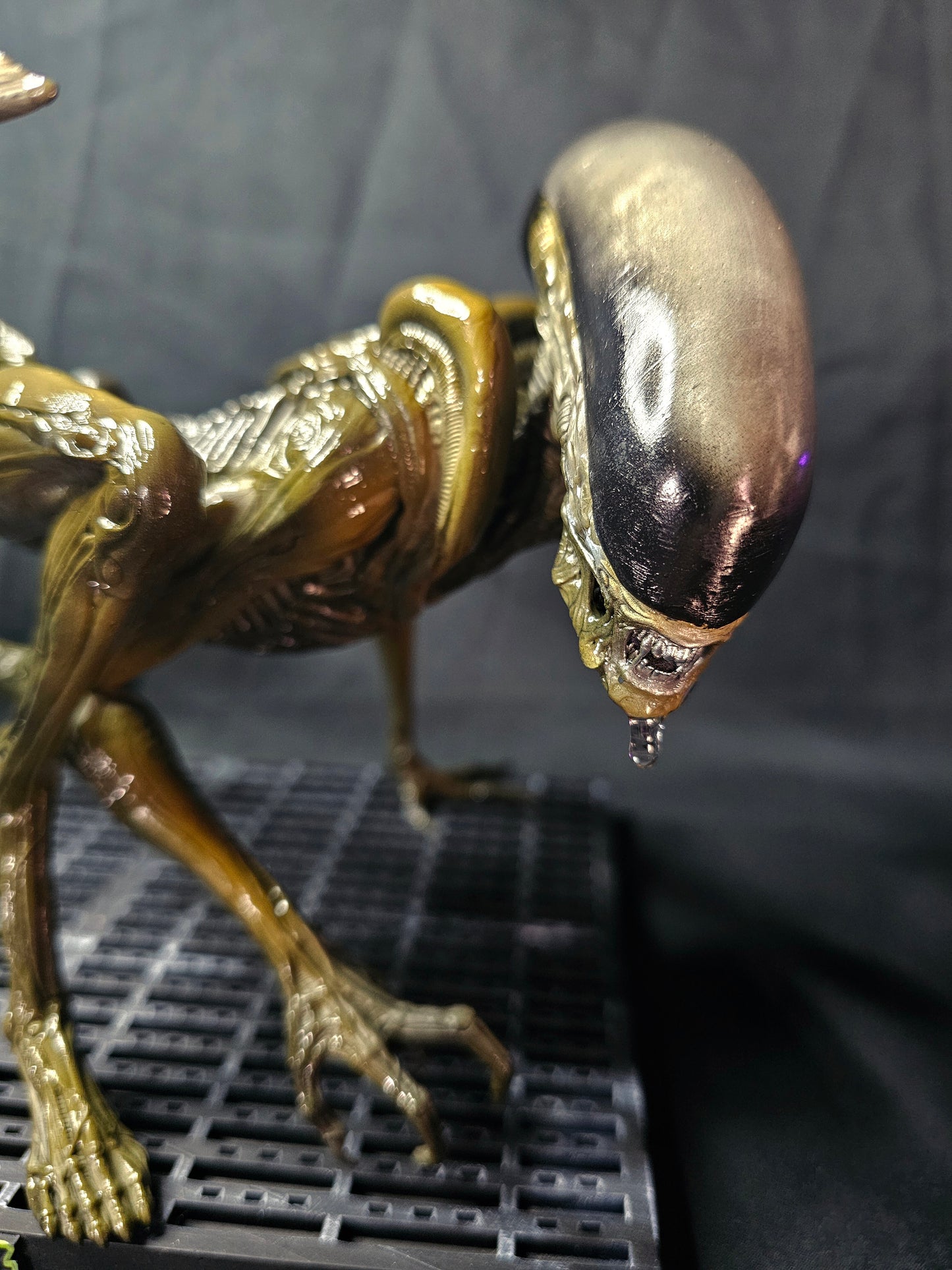 Alien 3 1/6 Dog Alien Statue