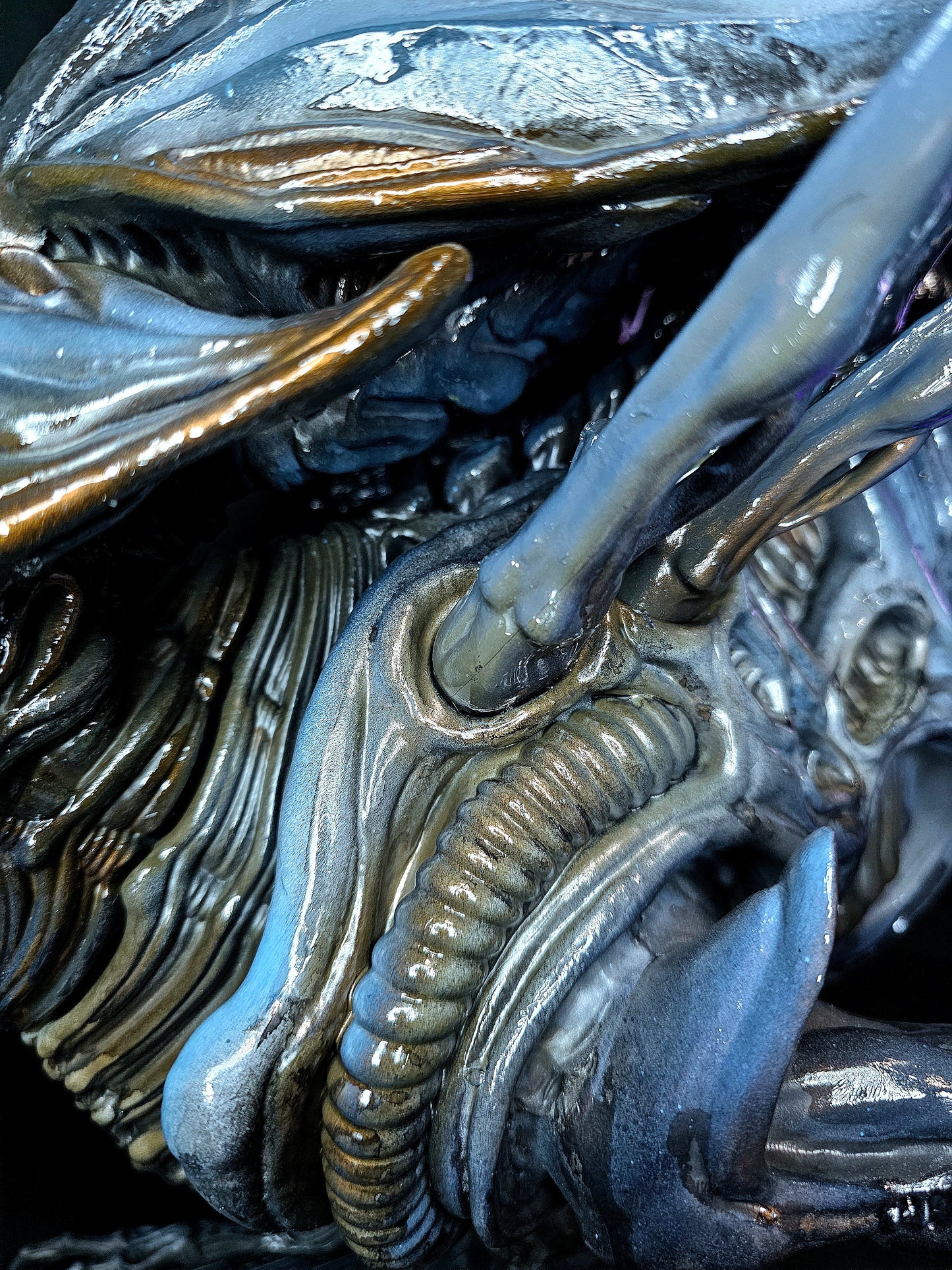 Alien Queen ltd to 426 pcs